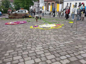 Blumenteppich auf dem Naumburger Marktplatz